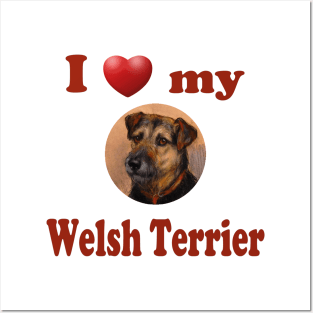 I Love My Welsh Terrier Posters and Art